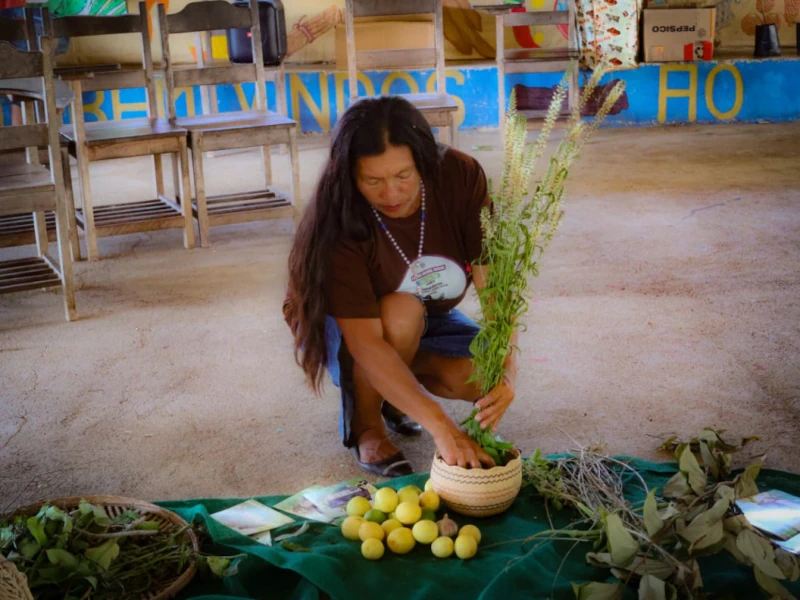 Mulher indígena manuseia ervas medicinais e frutos tradicionais sobre um pano verde no chão, preservando saberes ancestrais que combatem o etnocentrismo e a desvalorização das culturas nativas. Ao fundo, veem-se cadeiras de madeira e a palavra "BENVINDOS" pintada na parede.