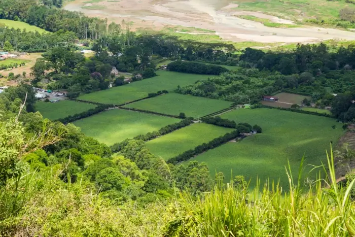 Uma grande fazenda em uma área desmatada para fazer pasto, representando a propriedade privada.